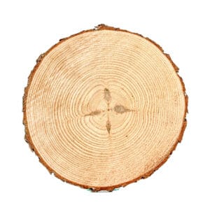 10-inch wood slice - Rustic Wood Slices