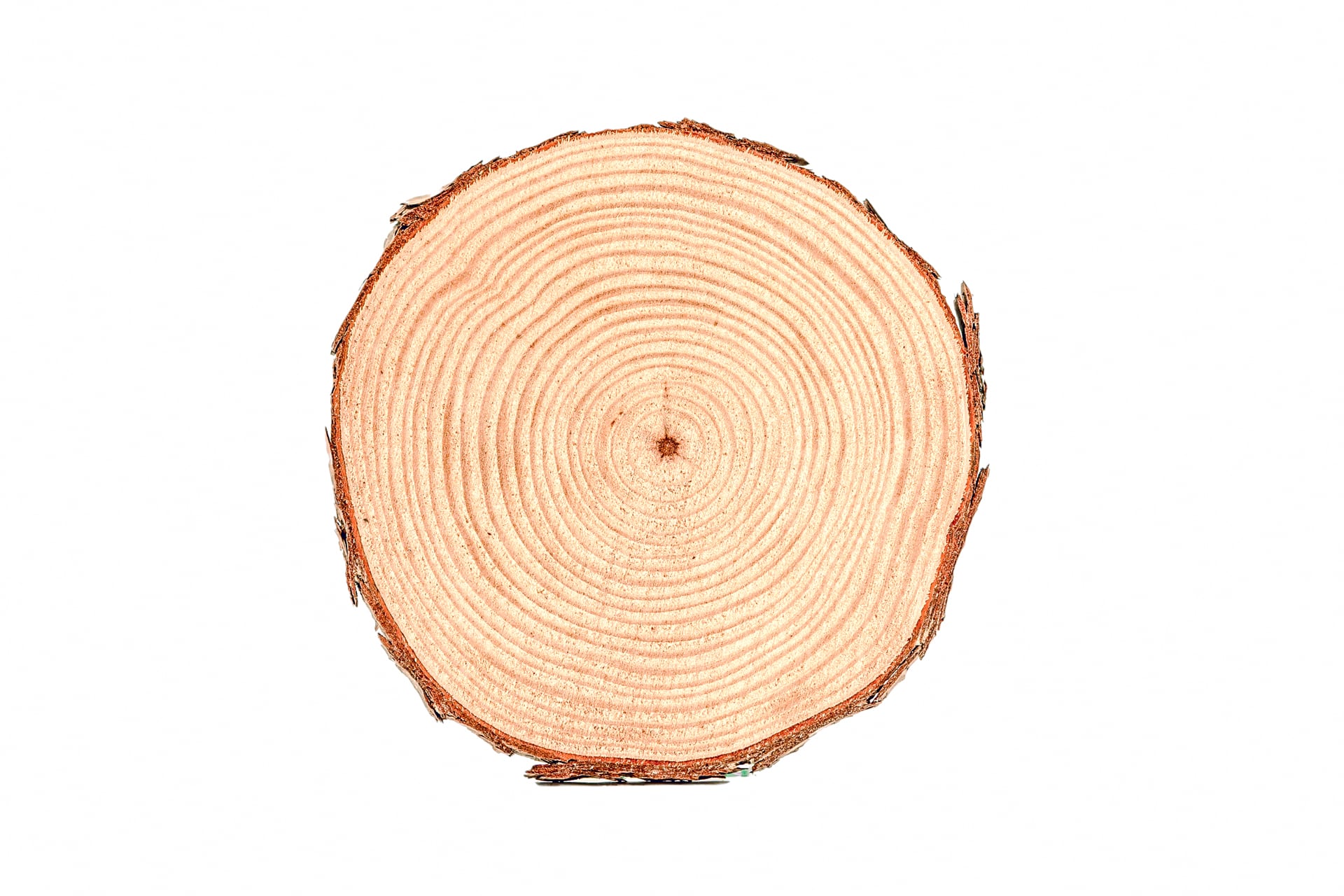 Rustic Natural Wood Slices, Rectangular Poplar Wood Slabs 23X8